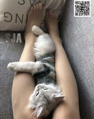 老地方在线观看免费动漫