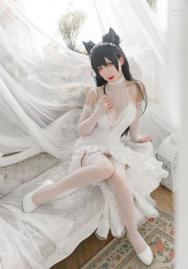 我的365大佬第一季免费播放