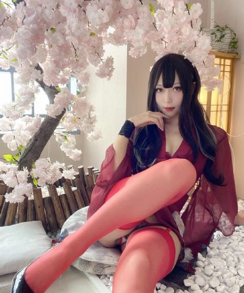 《猫女的诅咒》
