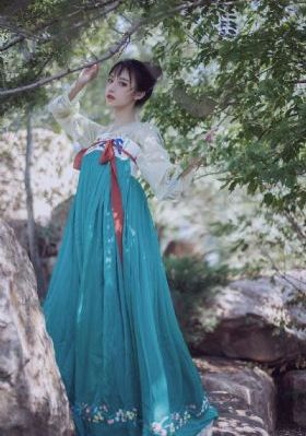 葵花进城