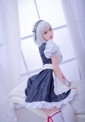 贺力王
