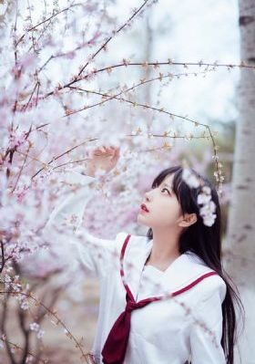 美丽心灵