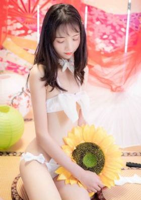 将军电视剧免费观看完整版